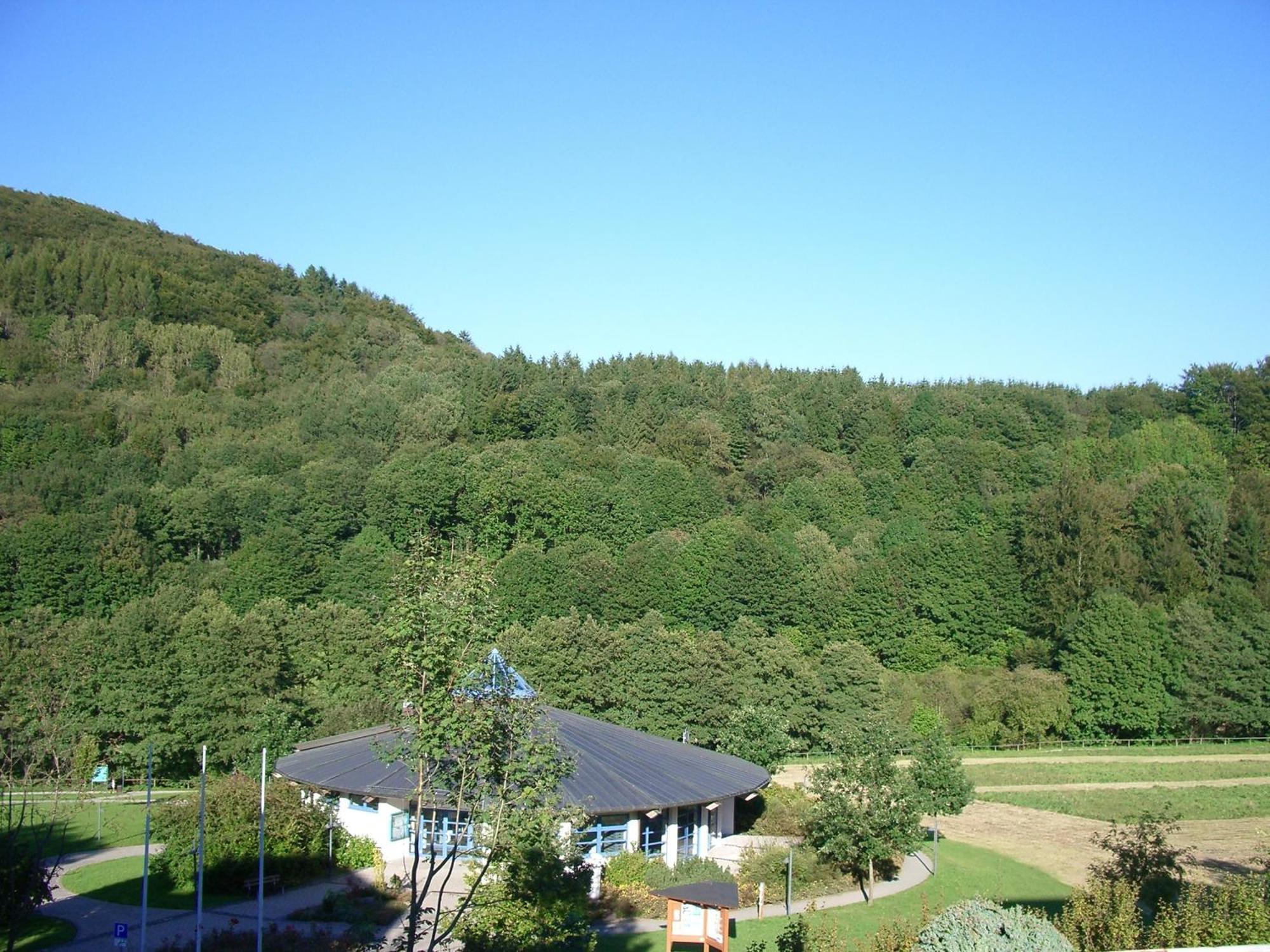 Aritee Apartments Sonnenschein Willingen  Exterior photo